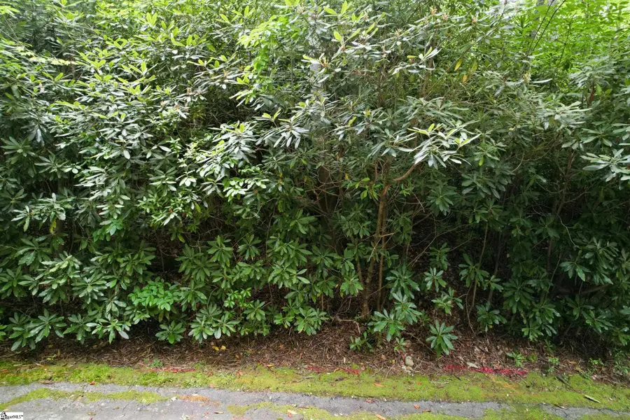 127 Conifer Falls Road, Cleveland, SC 29635 - #3