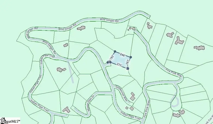 00 Lacey Fern Way, Landrum, SC 29356 - #2