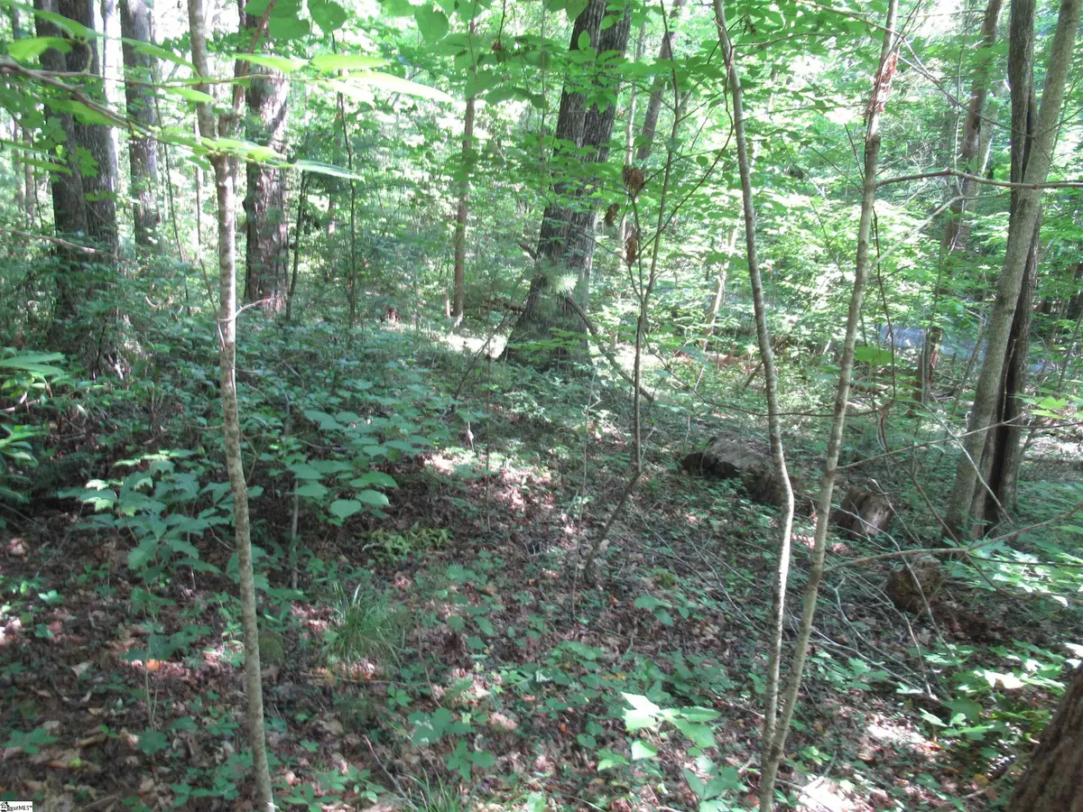 00 Gauley Falls Road #Lot 13 Gauley Falls, Pickens, SC 29671 - #1