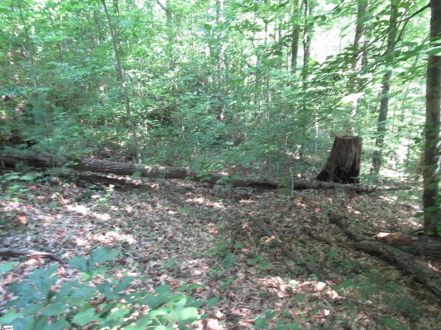 00 Gauley Falls Road #Lot 13 Gauley Falls, Pickens, SC 29671 - #2