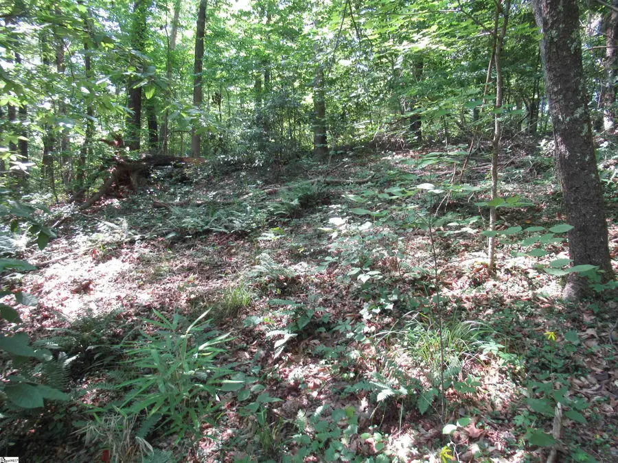 00 Gauley Falls Road #Lot 13 Gauley Falls, Pickens, SC 29671 - #3