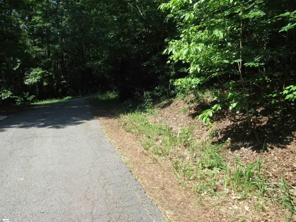 00 Gauley Falls Road #Lot 15 Gauley Falls, Pickens, SC 29671