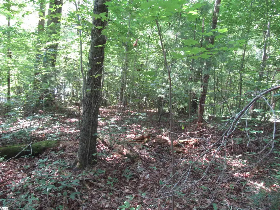00 Gauley Falls Road #Lot 15 Gauley Falls, Pickens, SC 29671 - #3