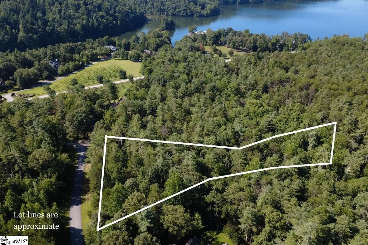 205 Vineyard Park, Sunset, SC 29685 - #1