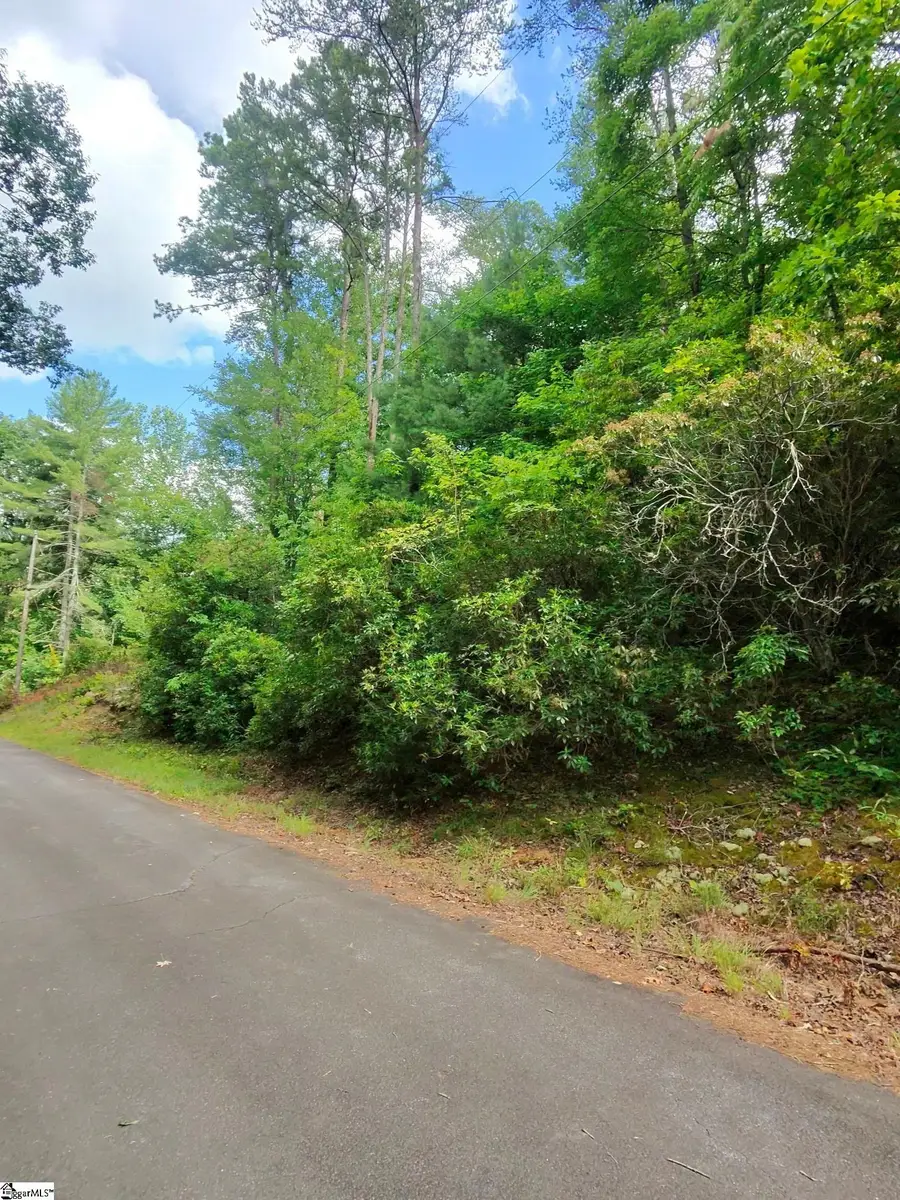 00 Silver Shoals Circle, Marietta, SC 29661 - #3