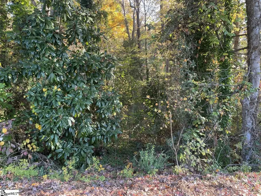 Brookforest Drive #Lot 9, Anderson, SC 29621 - #2