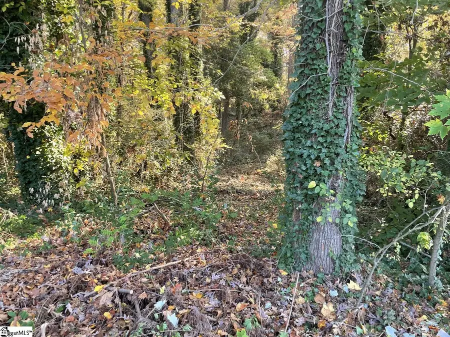 Brookforest Drive #Lot 9, Anderson, SC 29621 - #3