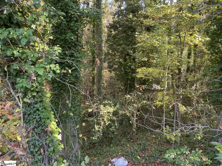 Brookforest Drive #Lot 10-F, Anderson, SC 29621 - #3