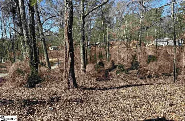 00 Wynette Way, Inman, SC 29349