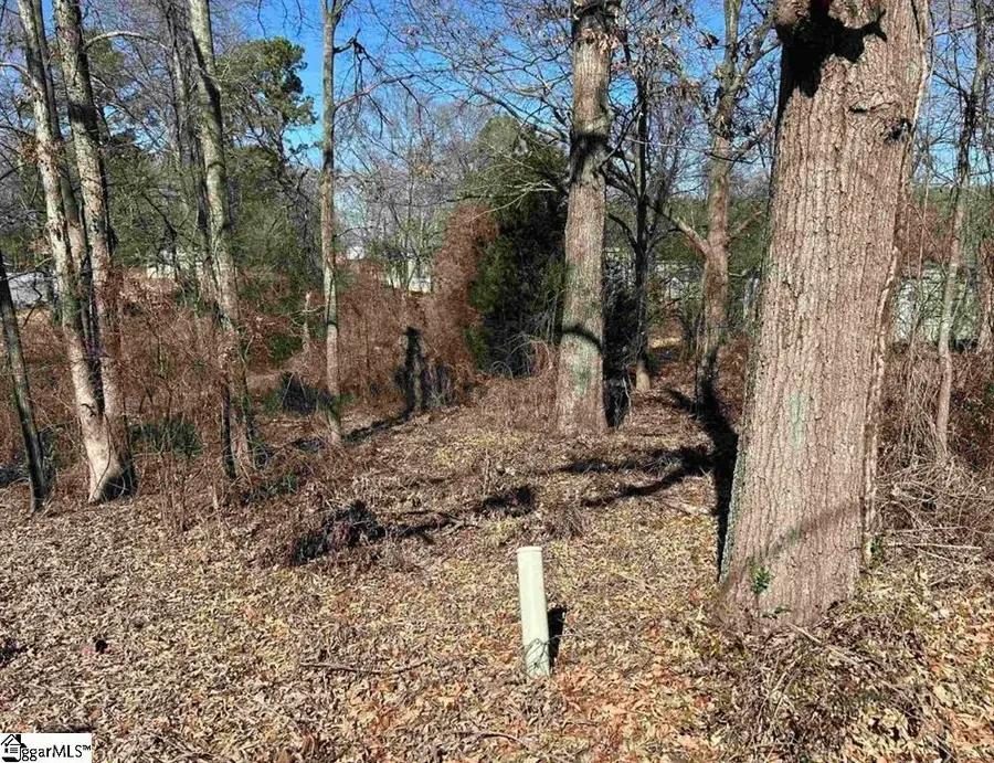 00 Wynette Way, Inman, SC 29349 - #2