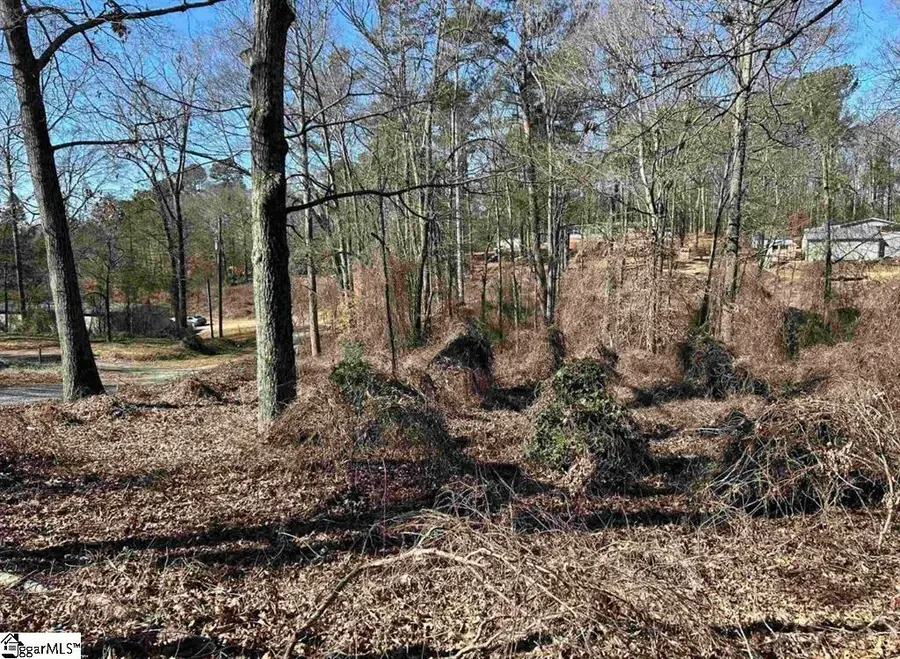 00 Wynette Way, Inman, SC 29349 - #3