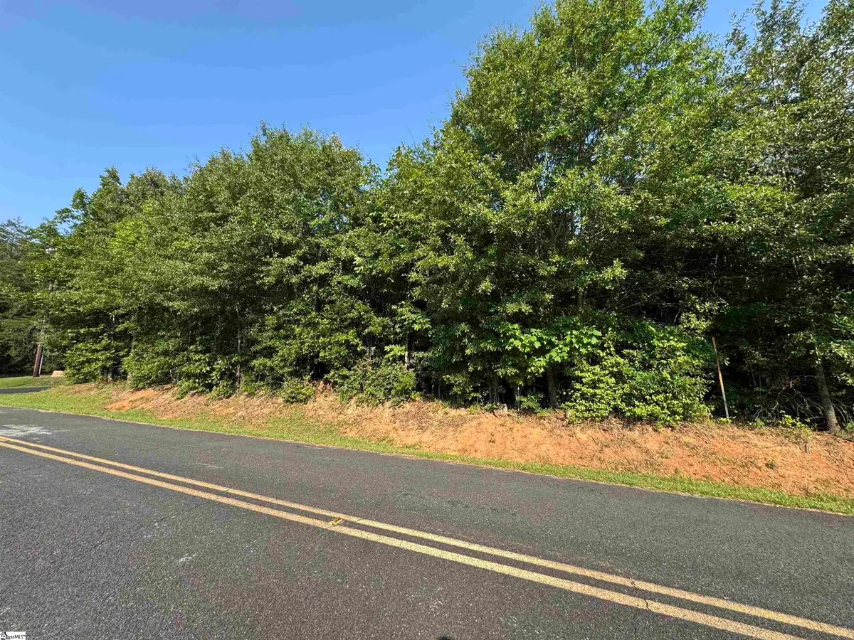 379 Sam Langley Road, Travelers Rest, SC 29690 - #1