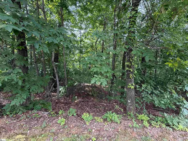 140 Crowne Hill Way, Marietta, SC 29661