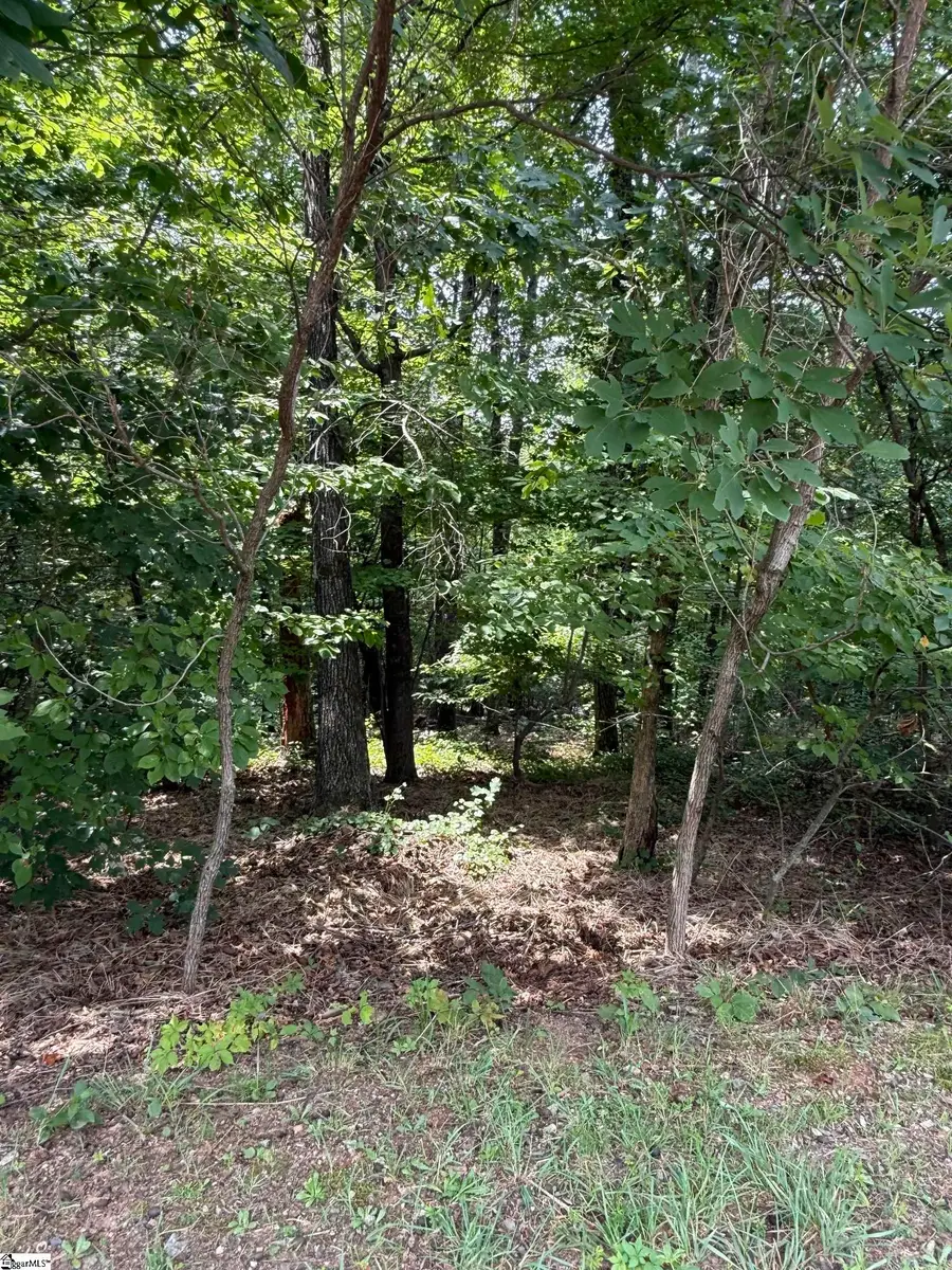 140 Crowne Hill Way, Marietta, SC 29661 - #2