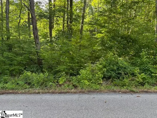 0 Lockhart Drive, Landrum, SC 29356 - #1