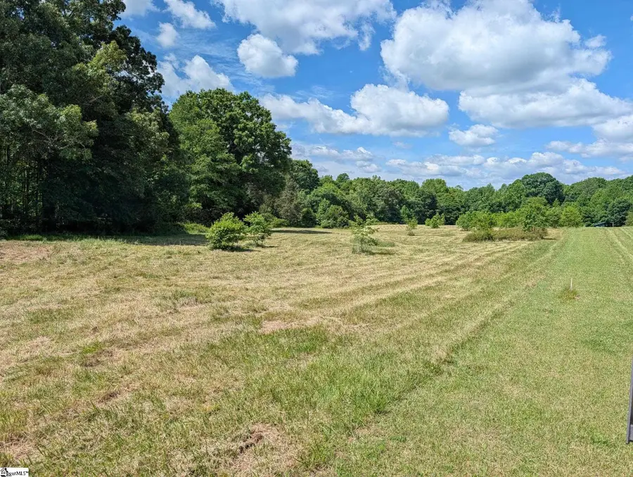 00 Watson Road, Enoree, SC 29335 - #3