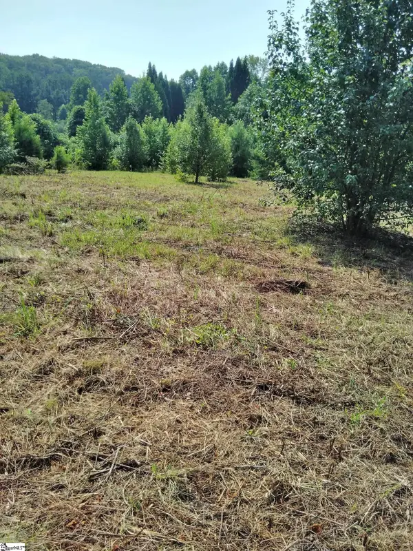 0 Jameson Road, Easley, SC 29640