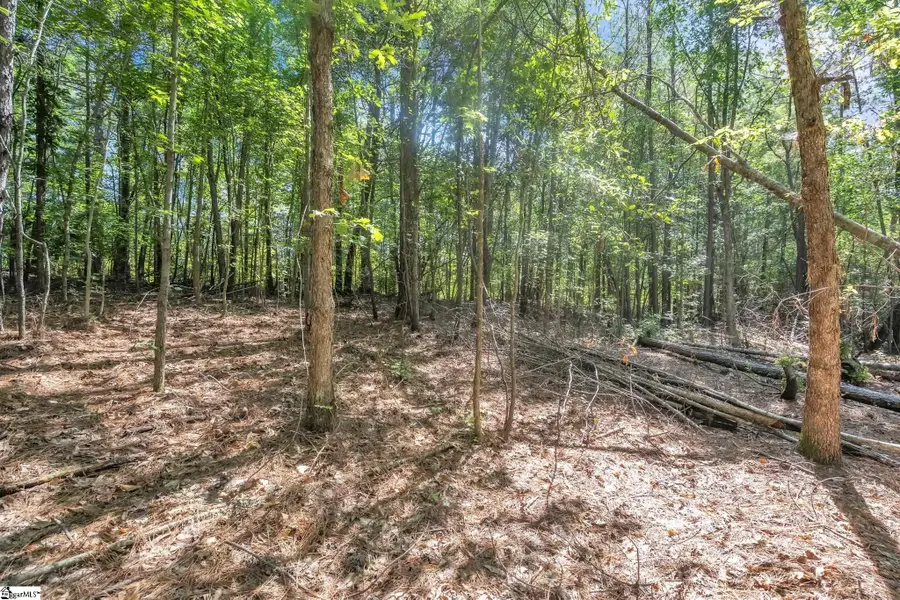 0 Linder Road, Gaffney, SC 29341 - #3