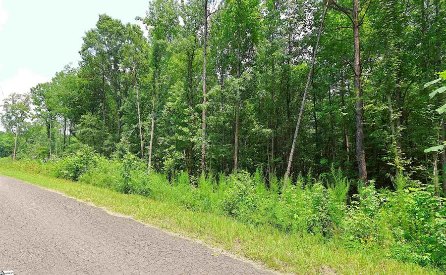 TBD Byars Farm Road, Gaffney, SC 29341 - #2