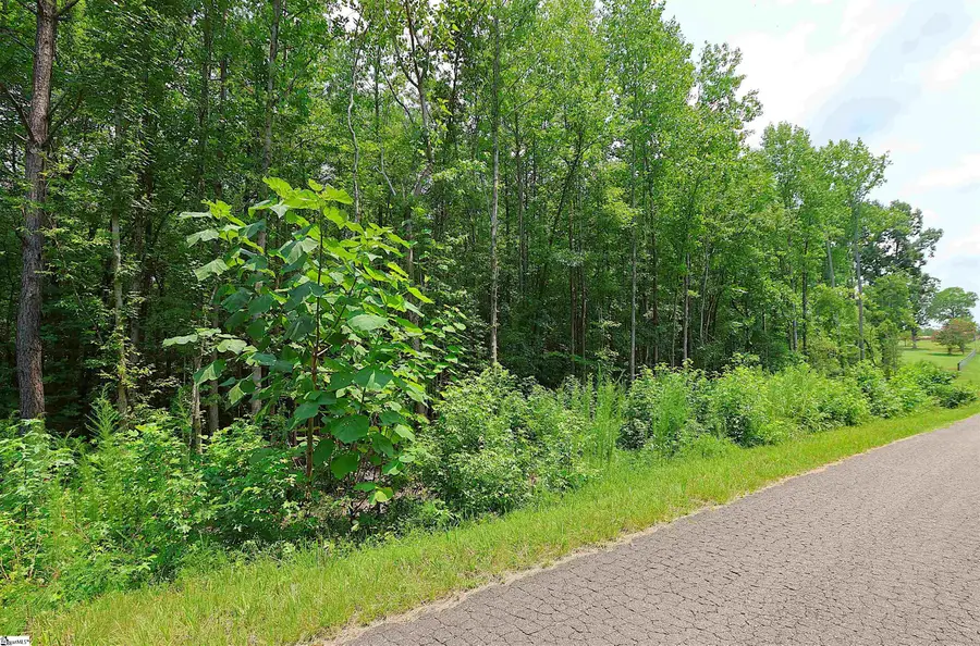 TBD Byars Farm Road, Gaffney, SC 29341 - #3