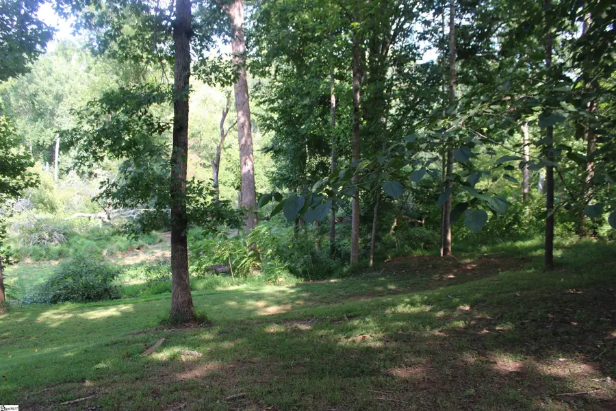 447 Maplecroft Street, Spartanburg, SC 29303 - #3