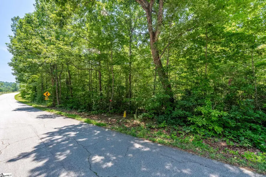 00 Trammell Road #Lot 2, Travelers Rest, SC 29690 - #3