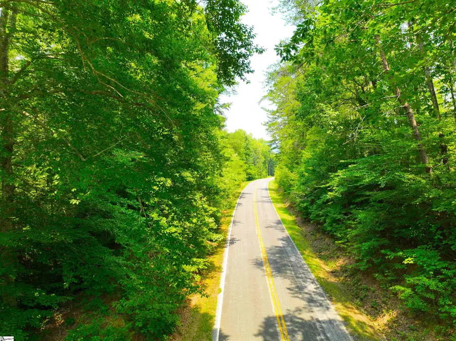 141 Old Sc 11, Travelers Rest, SC 29690 - #2