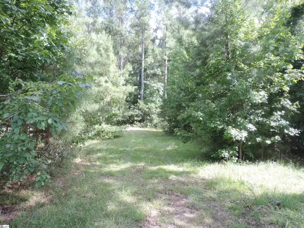 Wilkerson Road, Whitmire, SC 29178