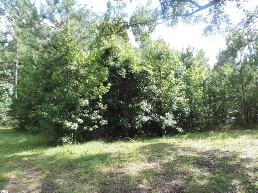 Wilkerson Road, Whitmire, SC 29178 - #2