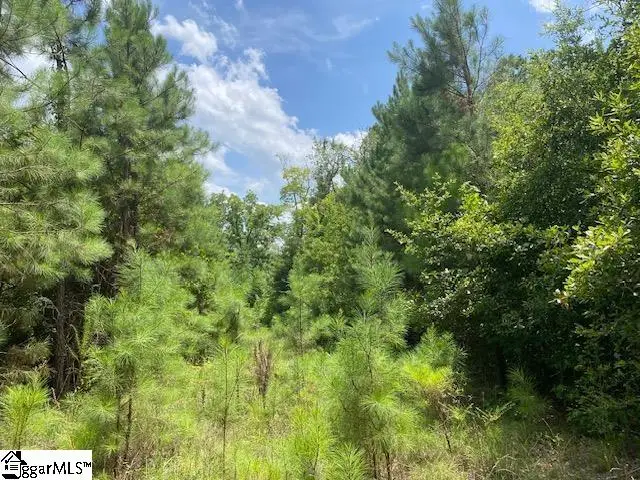 00 Vanboklen Road, Eastover, SC 29044 - #1