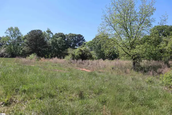 0 Old Canaan Tract 5 Road, Spartanburg, SC 29306