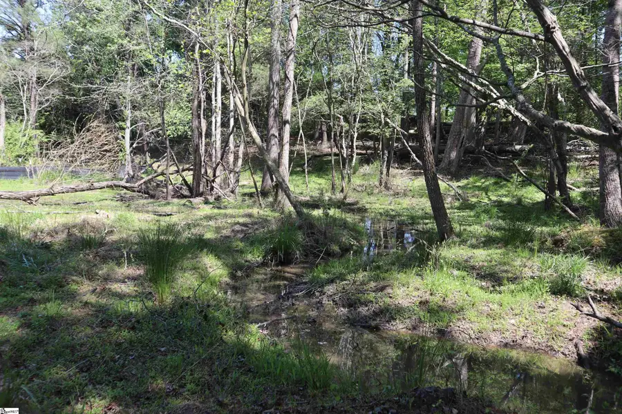 0 Old Canaan Tract 6 Road, Spartanburg, SC 29306 - #2