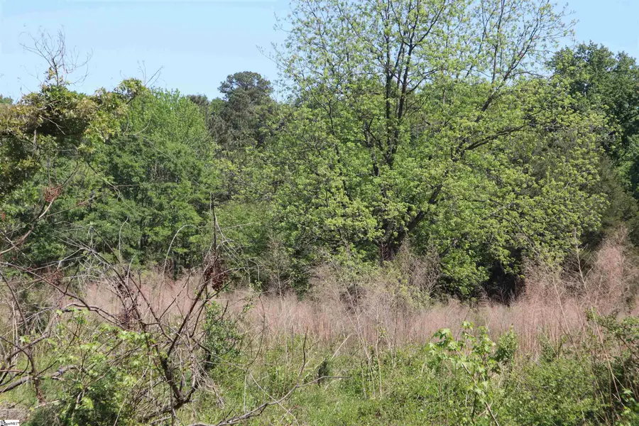 0 Old Canaan Tract 6 Road, Spartanburg, SC 29306 - #3