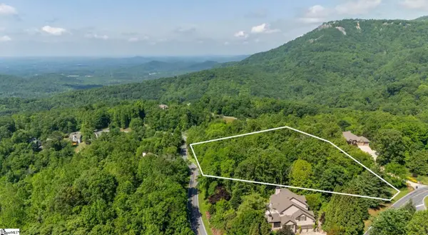 33 Raptor Way, Landrum, SC 29635-6