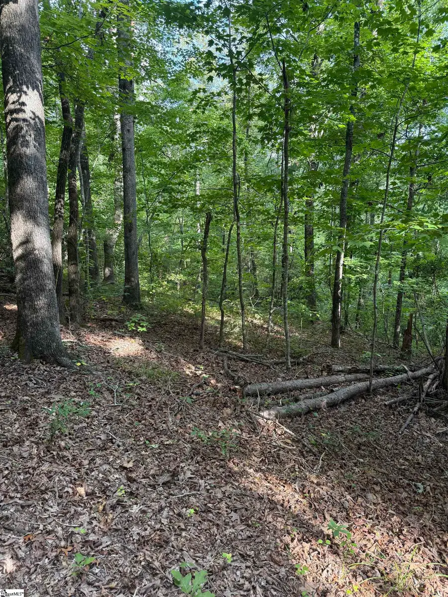 00 Daves Valley Road, Pickens, SC 29671 - #3