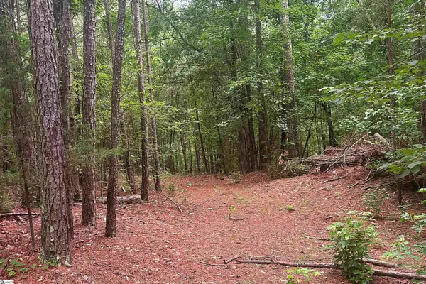 0 Harris Springs Road, Cross Hill, SC 29332