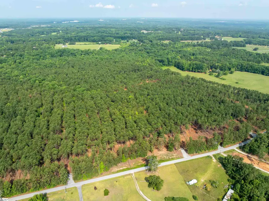 00 Cheek Road #Lot 11, Gray Court, SC 29645 - #3