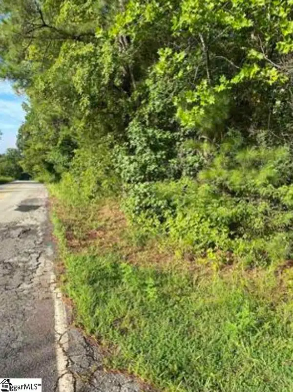 0 Mount Shoals Road, Enoree, SC 29335