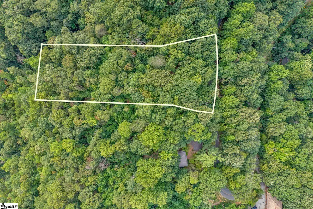 00 Hogback Mountain Road, Tryon, NC 28782 - #1