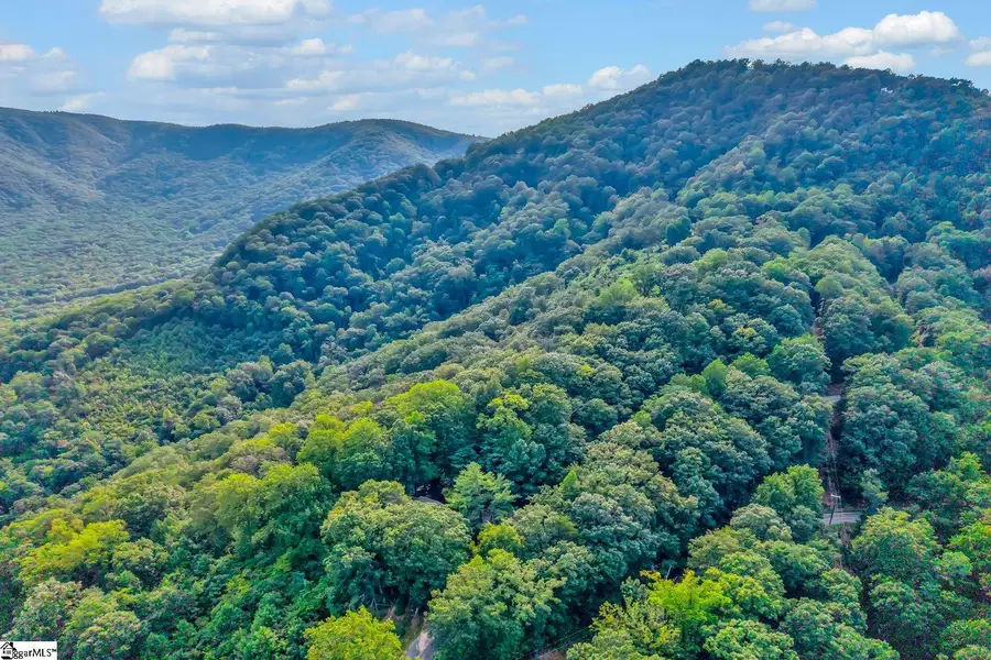 00 Hogback Mountain Road, Tryon, NC 28782 - #3