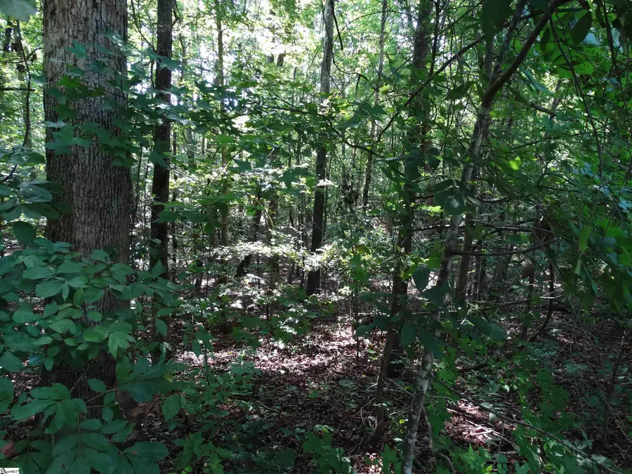 76 Tanyard Road, Greenville, SC 29609 - #3