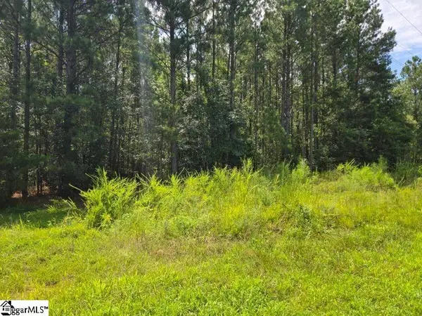00 Shrine Club Road, Waterloo, SC 29384