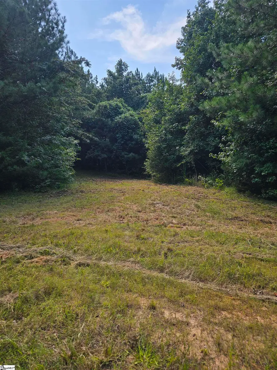 335 Old Ferry Road, Union, SC 29379 - #2