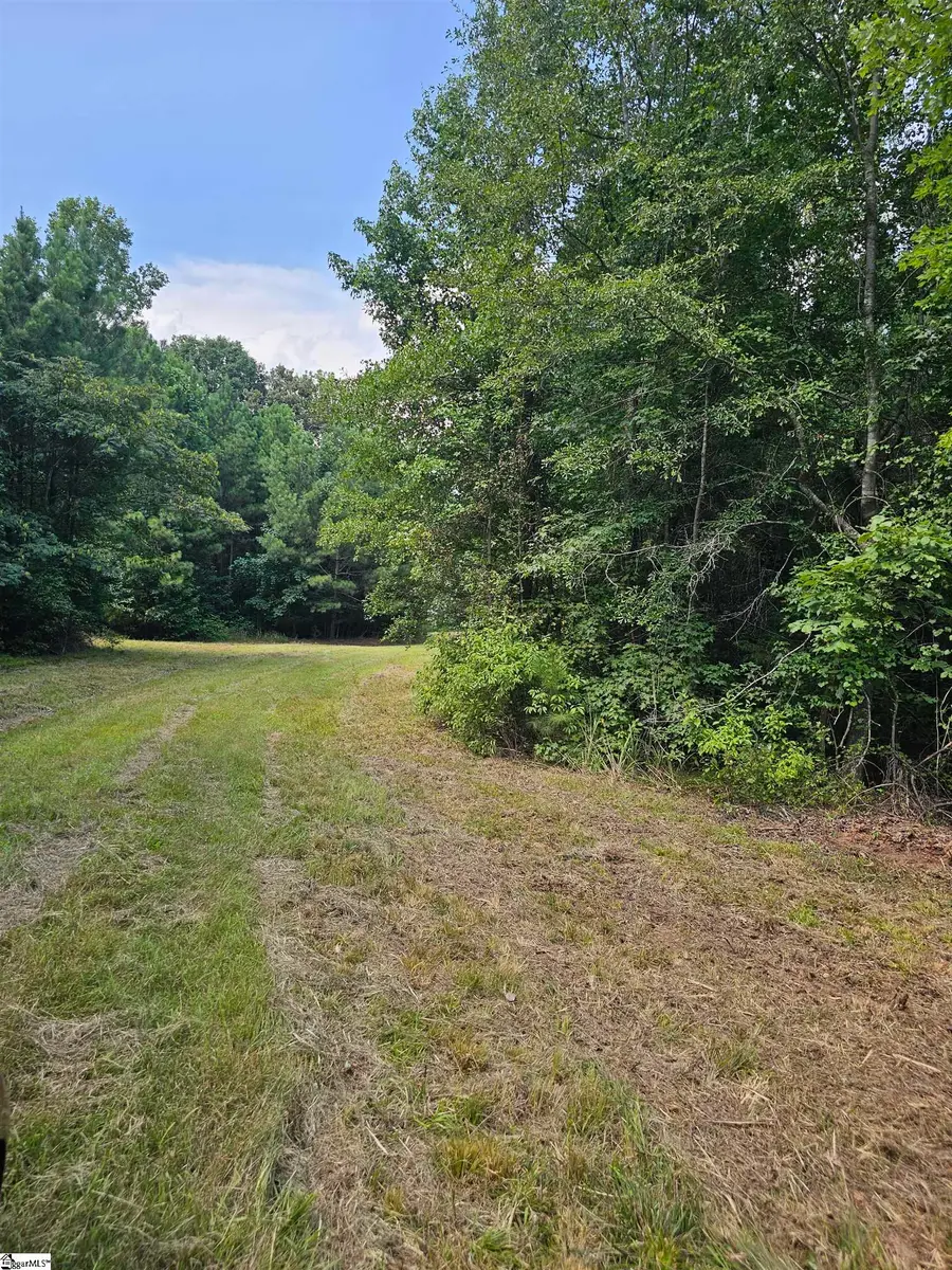 335 Old Ferry Road, Union, SC 29379 - #3