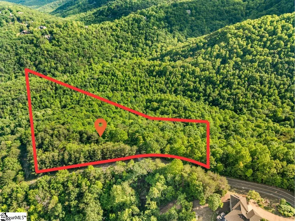 214 Craggy Rock Lane, Landrum, SC 29356 - #1