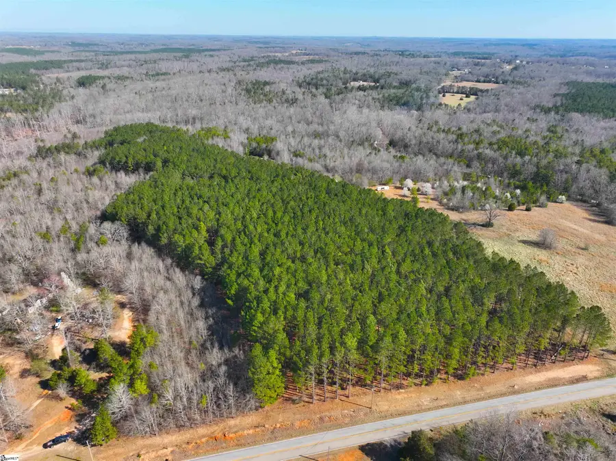 2 Bolt Road, Gray Court, SC 29645 - #2
