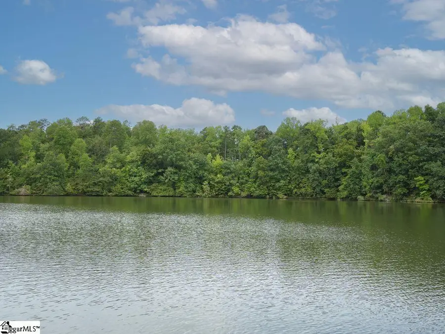 127 Lake Robinson Pointe, Greer, SC 29651 - #3