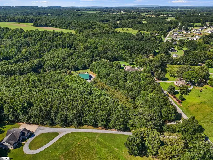 770 Dickson Road, Campobello, SC 29322 - #3