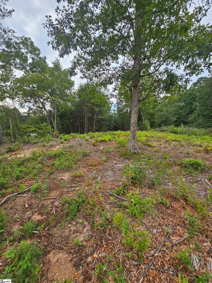 1146 Belue Mill Road, Landrum, SC 29356 - #2