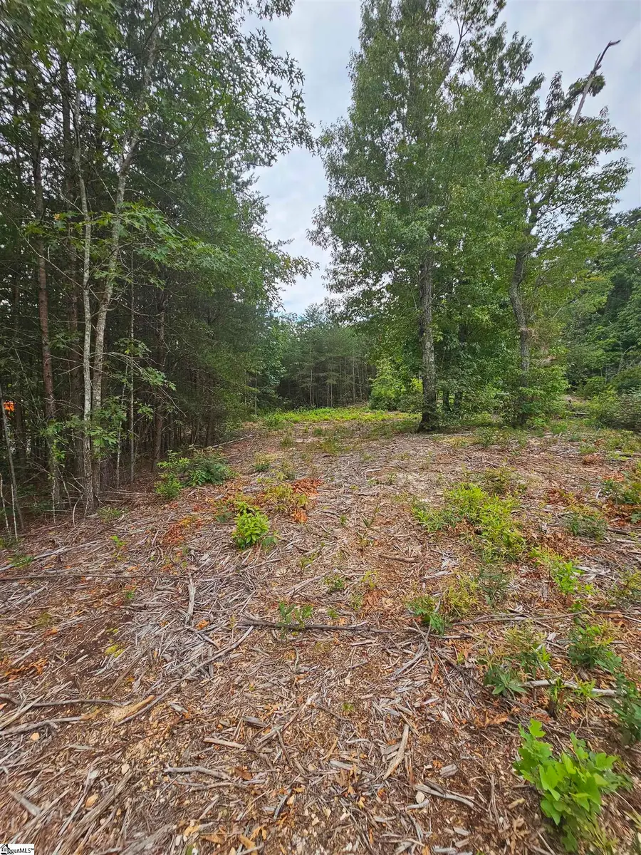 1146 Belue Mill Road, Landrum, SC 29356 - #3